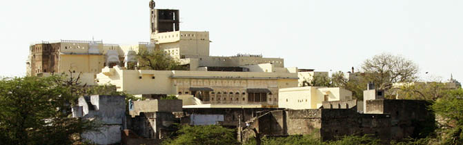 Hotel Fort Barli Barli India