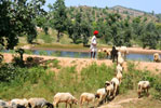 Hotels in Bera India