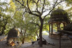 Hotels in Rajasthan India