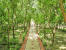 Images of The Bagh Bharatpur: image 1 0f 7 thumb