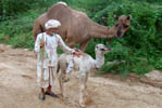 Images of Ravla Bhenswra, Photos of Rawla Bhainswara India