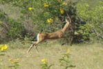 Heritage Hotels in Rajasthan
