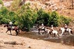 Hotels in Bijaipur Rajasthan India