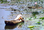 Hotels in Rajasthan India