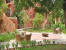 Images of Bhairon Vilas Bikaner: image 2 0f 11 thumb