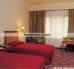 New Delhi Hotels, Hotels of New Delhi, Hotels in New Delhi, New Delhi Hotels