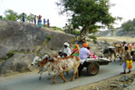 deogarh rajasthan india, deogarhhotels, hotelsdeogarh, tariff of deogarh hotels, economy hotels deogarh