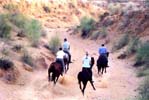 Heritage Hotels in Rajasthan India