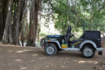 rajashtan hotels