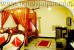 Images of Hotel Shahpura House Jaipur: image 7 0f 9 thumb