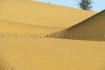Rajasthan Hotels Images