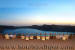 Images of Bal Samand Lake Palace Jodhpur: image 4 0f 6 thumb