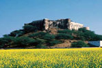 Hotel Hill Fort Kesroli Alwar Rajasthan India