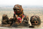 Hotels in Khejarla Jodhpur Rajasthan