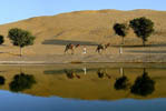 Hotels in Rajasthan Khimsar