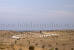 Images of Manvar Camp: image 1 0f 10 thumb