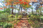 Heritage Hotels in Mount Abu Rajasthan India