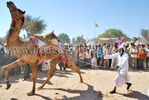 hotels of rajasthan