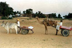 Rajasthan Heritage Hotels