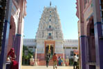 Images of Pushkar Hotels