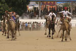 Rajasthan Hotels