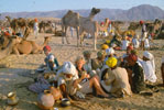 Heritage Hotels in Pushkar Rajasthan India