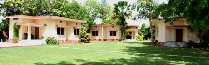 Ankur Resort Ranthambhore India