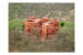 Images of Castle Jhoomar Baori Ranthambhore: image 1 0f 7 thumb