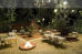 Images of Sawai Madhopur Lodge Ranthambhore: image 3 0f 7 thumb