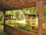 Tiger Moon Resort Ranthambhore Rajasthan India