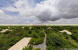 Images of Oberoi Vanyavilas Ranthambhore: image 1 0f 9 thumb