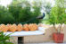 Tariff of Hotel Rohet Garh Rohat Rajasthan India 