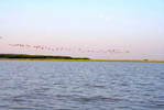 Rajasthan Heritage Hotels