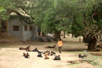 tordi rajasthan india, tordihotels, hotelstordi, tariff of tordi hotels, economy hotels tordi